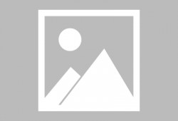 独家爆料海角大神之邻居