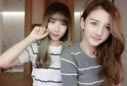 娱乐圈是我的.网红大鹅,网红大鹅的璀璨星途