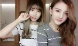 娱乐圈是我的.网红大鹅,网红大鹅的璀璨星途