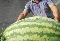 网络大瓜,揭秘娱乐圈幕后真相，带你走进明星隐私世界